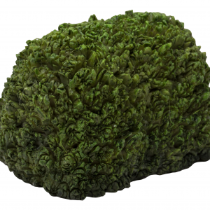 MW03-033 Topiary Hedge 1