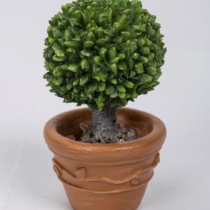 Planted Baytree