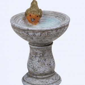 Robin Birdbath