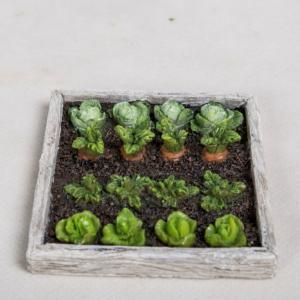 Vegetable Garden